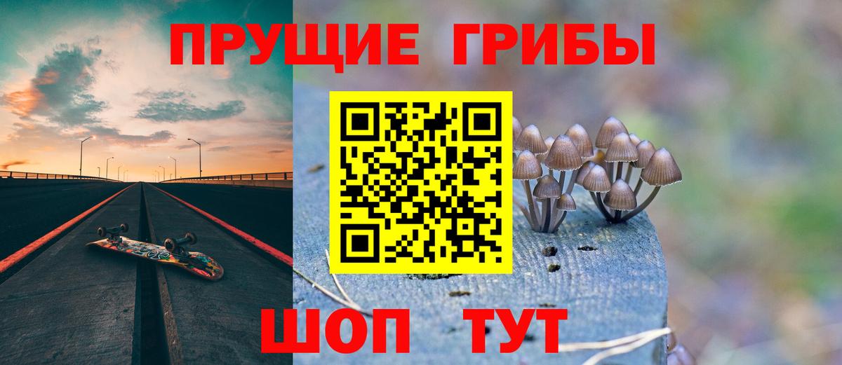 Галлюциногенные грибы Psilocybe Черногорск