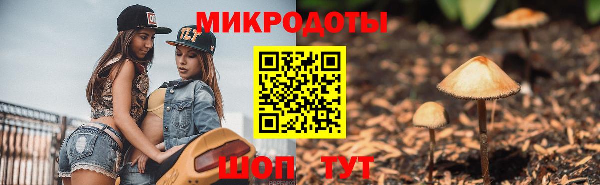 Псилоцибиновые грибы MAGIC MUSHROOMS  Вход с VPN  Черногорск  Псилоцибиновые грибы Psilocybe 